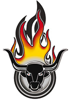 firebulls-logo-small